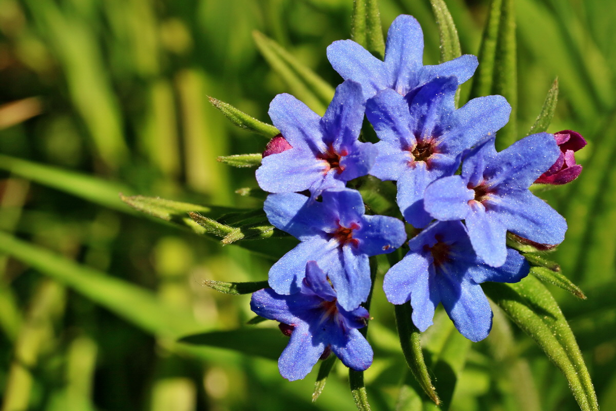 IMG-2016-05-11-00015094p_Bildgr��e �ndern