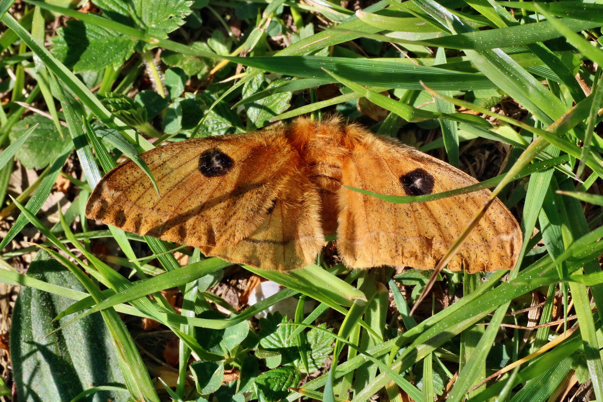 IMG-2016-05-11-00015099p_Bildgr��e �ndern