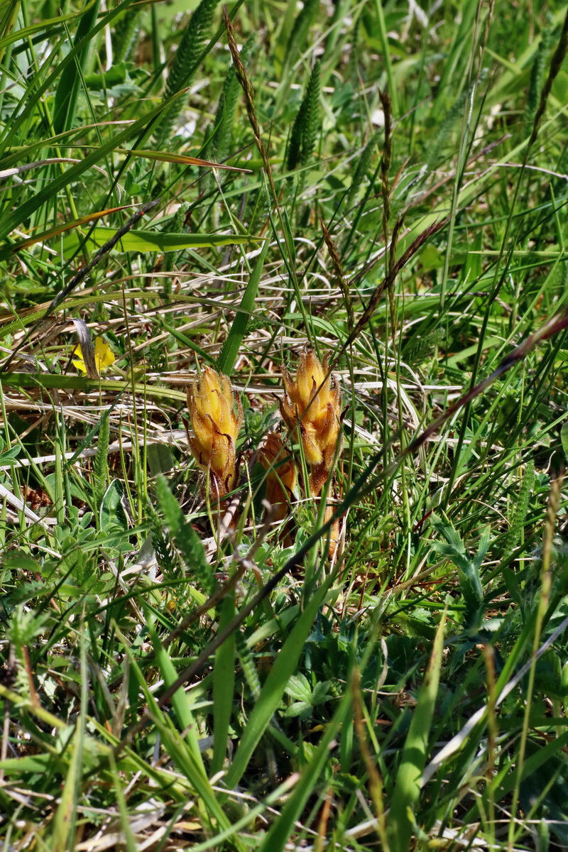 IMG-2016-05-11-00015118p_Bildgr��e �ndern