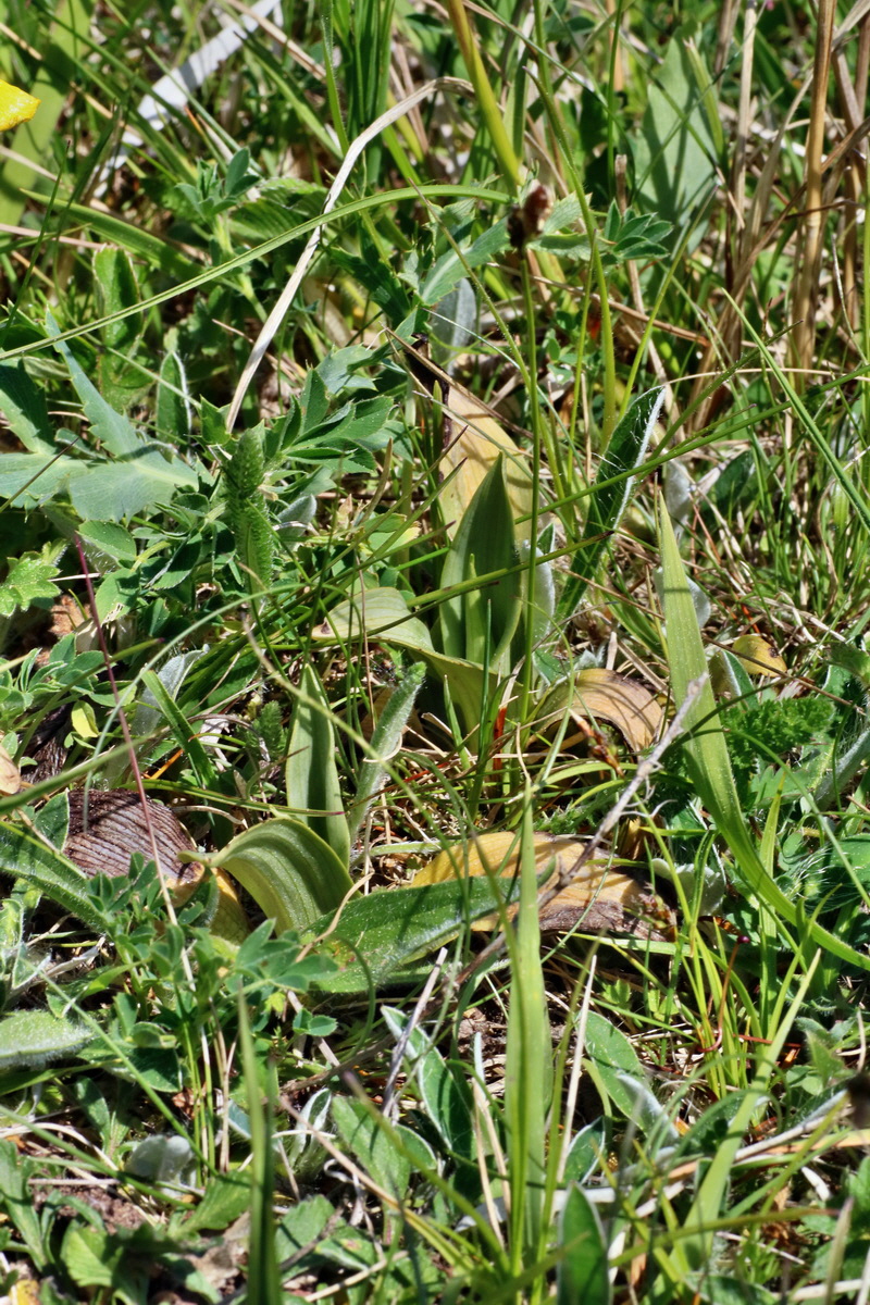 IMG-2016-05-11-00015121p_Bildgr��e �ndern