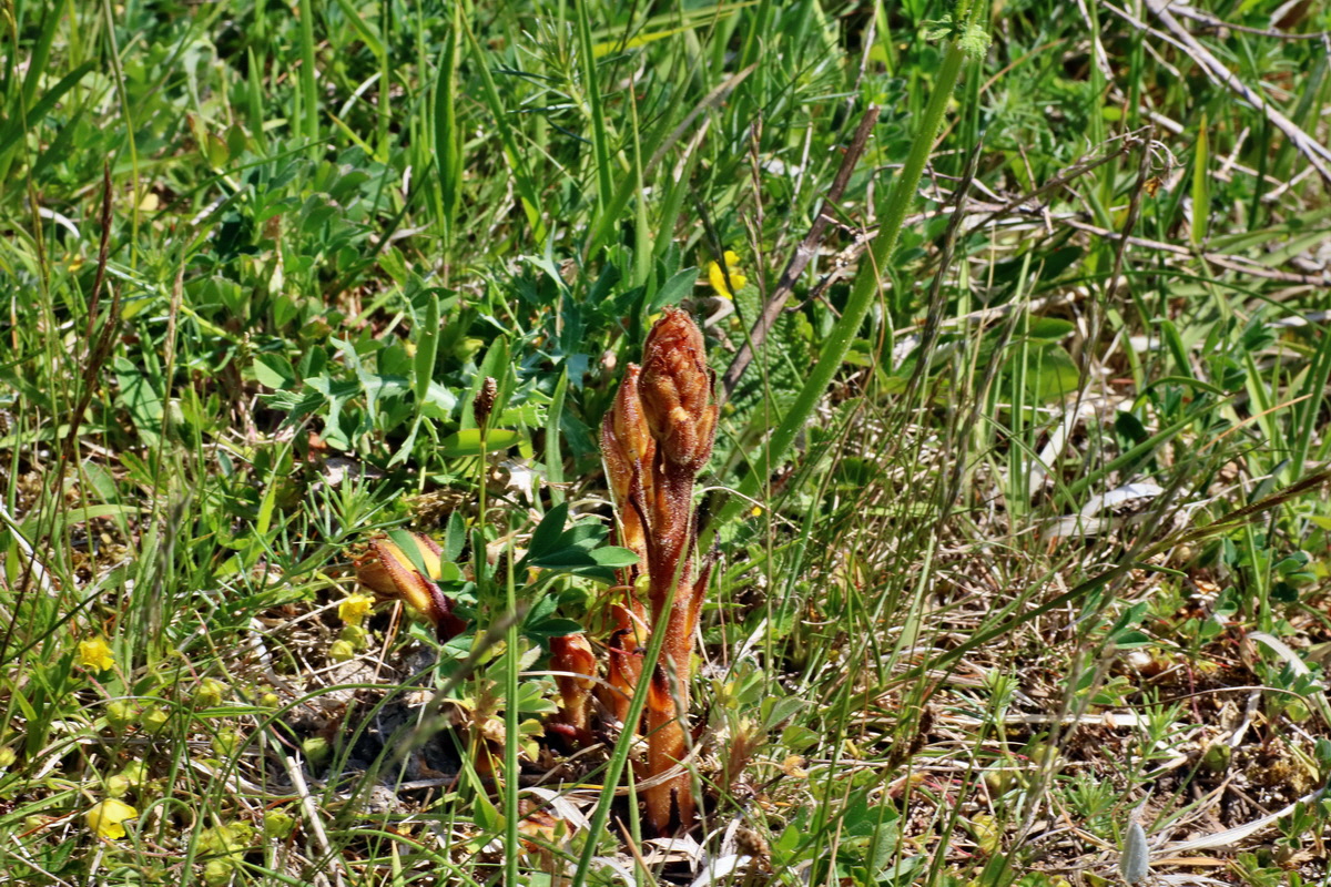 IMG-2016-05-11-00015125p_Bildgr��e �ndern