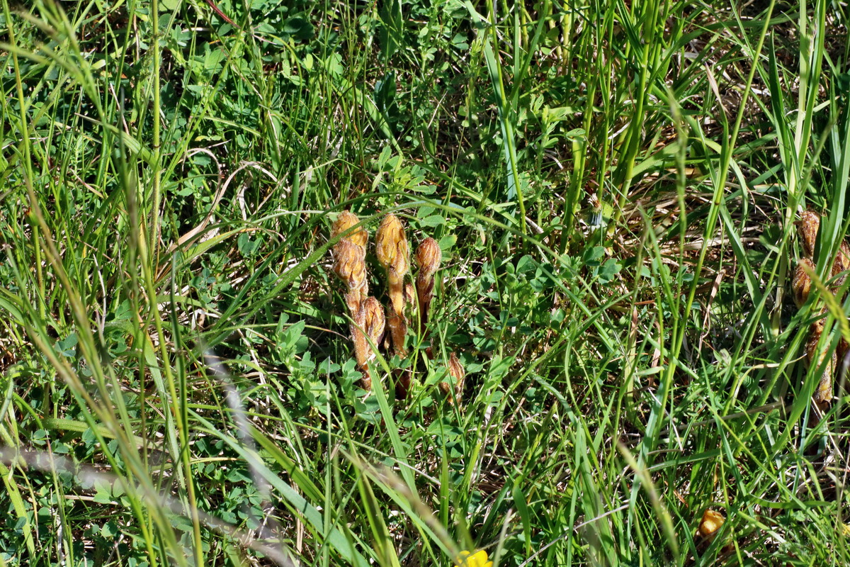 IMG-2016-05-11-00015126p_Bildgr��e �ndern