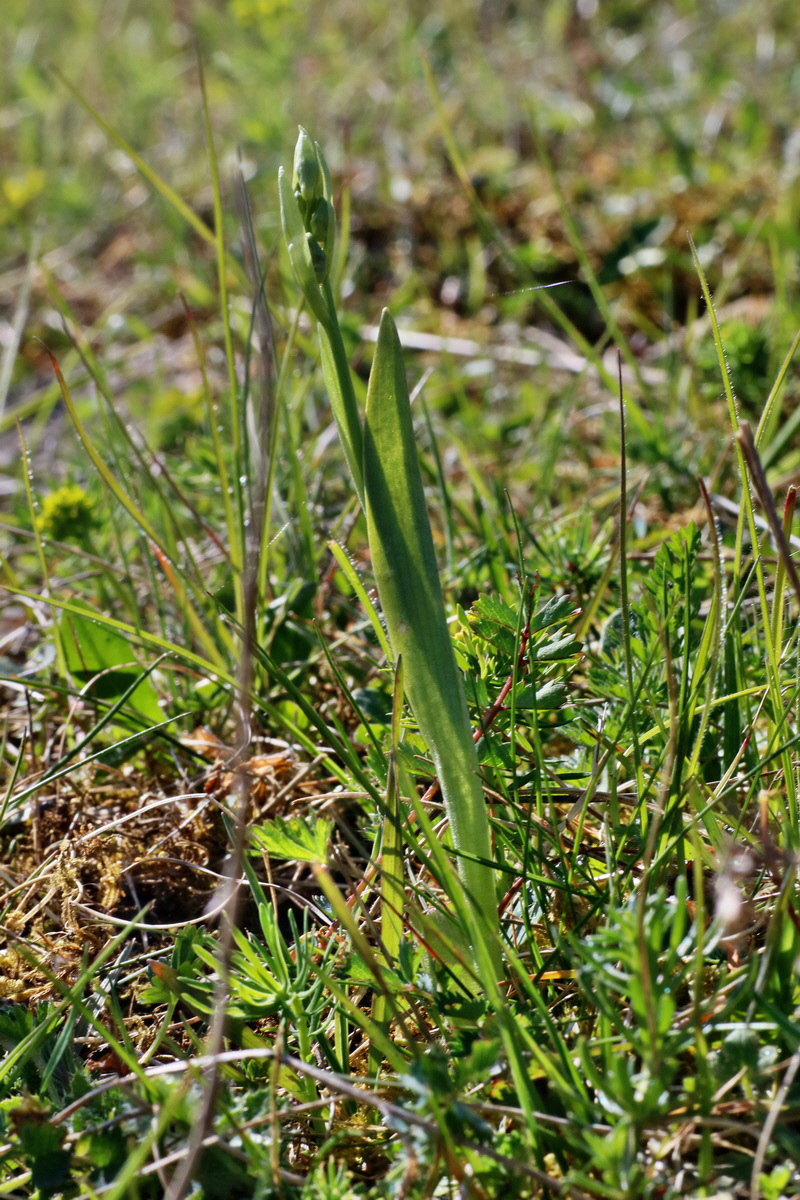 IMG-2016-05-11-00015133p_Bildgr��e �ndern