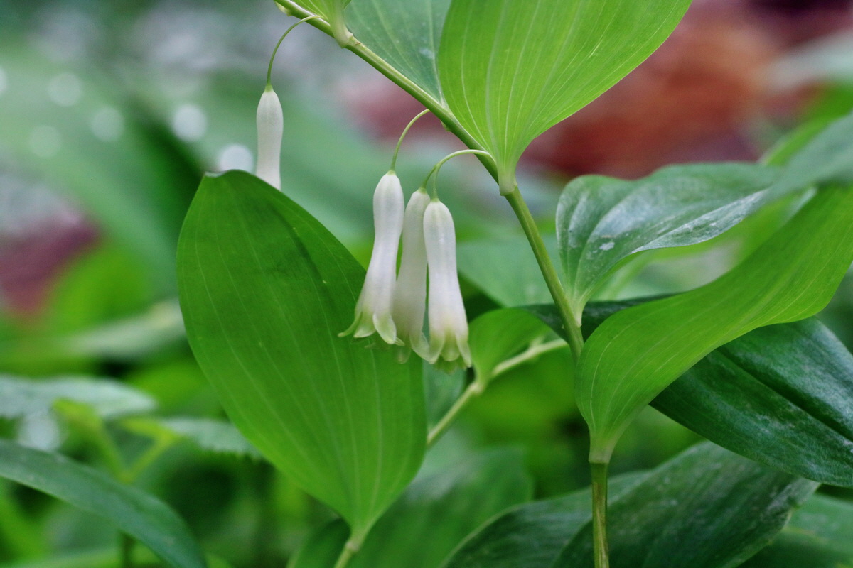 IMG-2016-05-16-00015142p_Bildgr��e �ndern