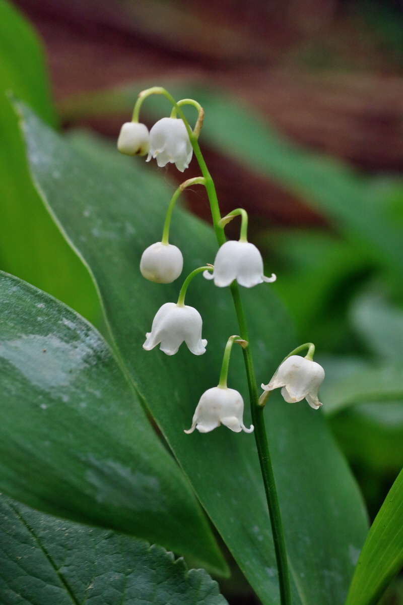 IMG-2016-05-16-00015144p_Bildgr��e �ndern