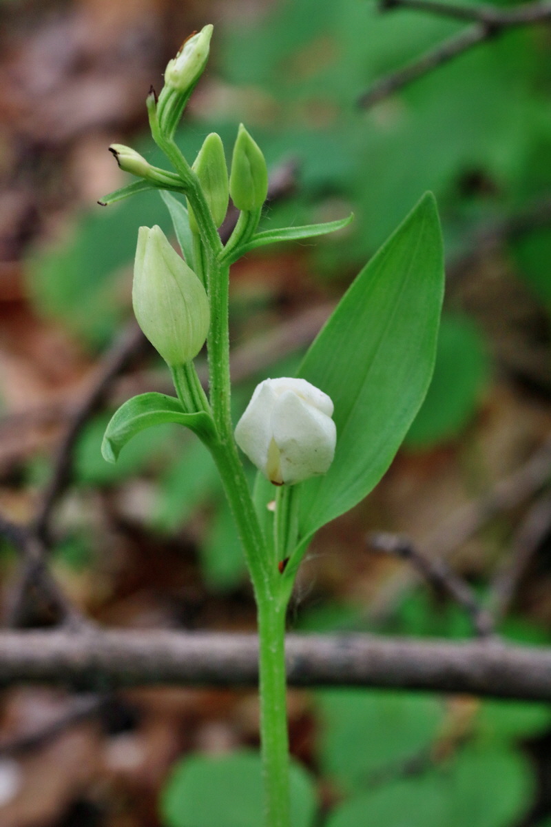 IMG-2016-05-16-00015147p_Bildgr��e �ndern