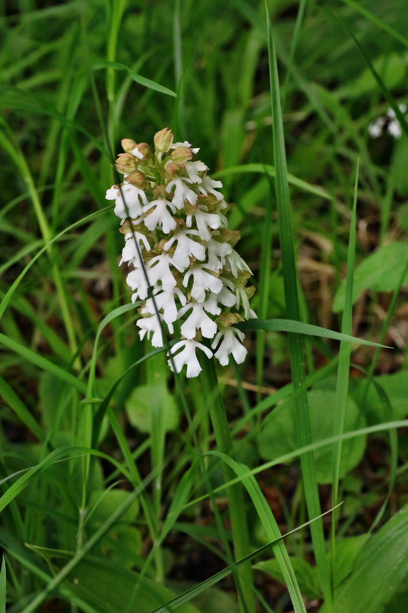 IMG-2016-05-16-00015164p_Bildgr��e �ndern