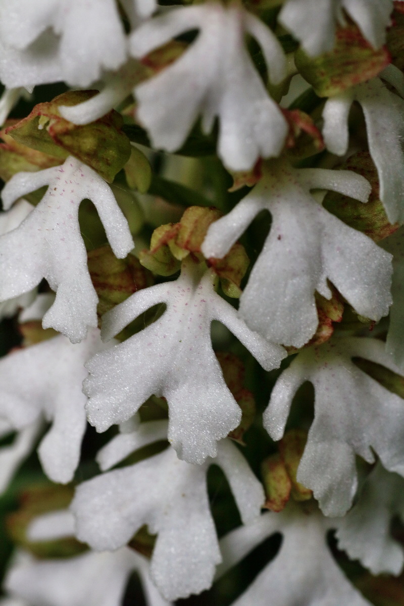 IMG-2016-05-16-00015172p_Bildgr��e �ndern