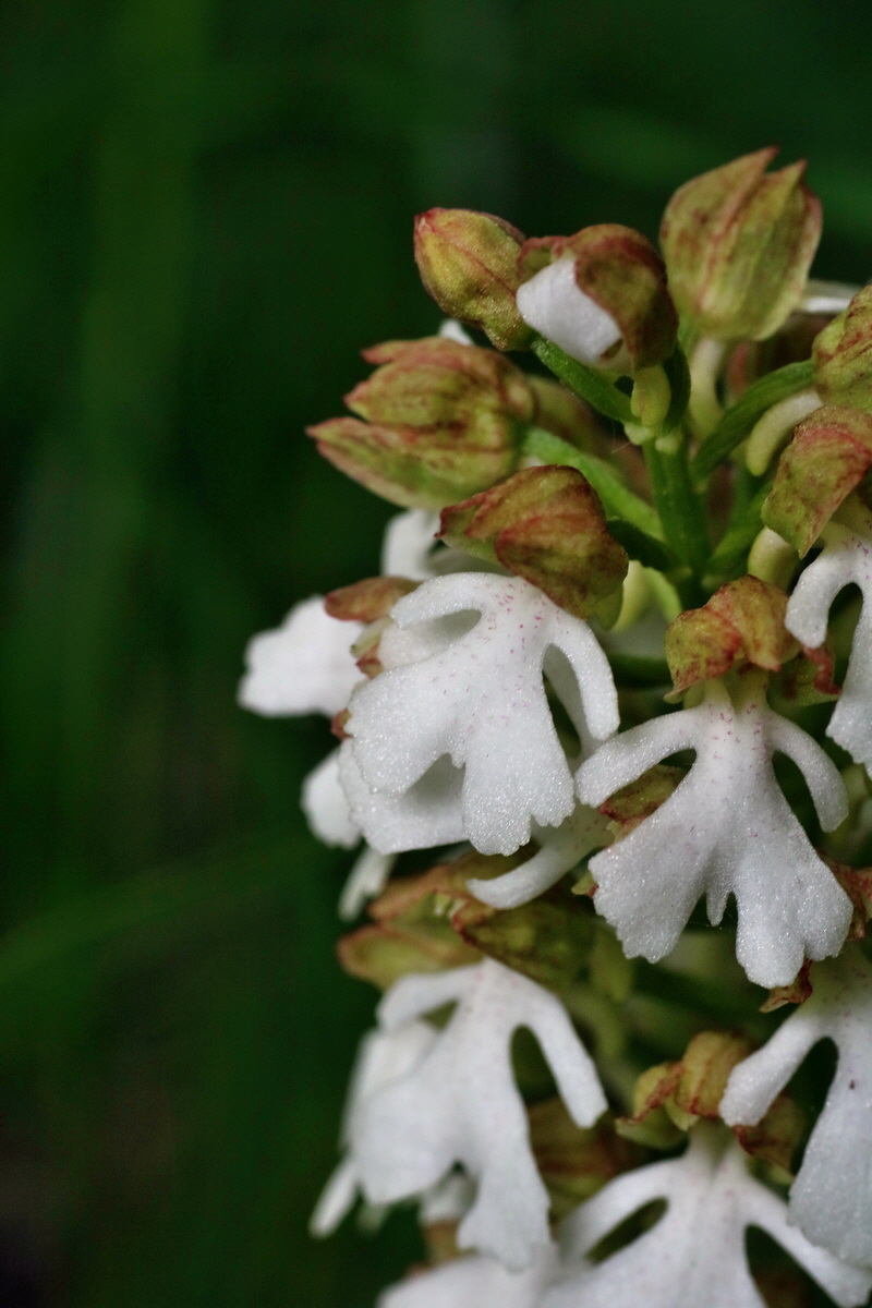 IMG-2016-05-16-00015174p_Bildgr��e �ndern