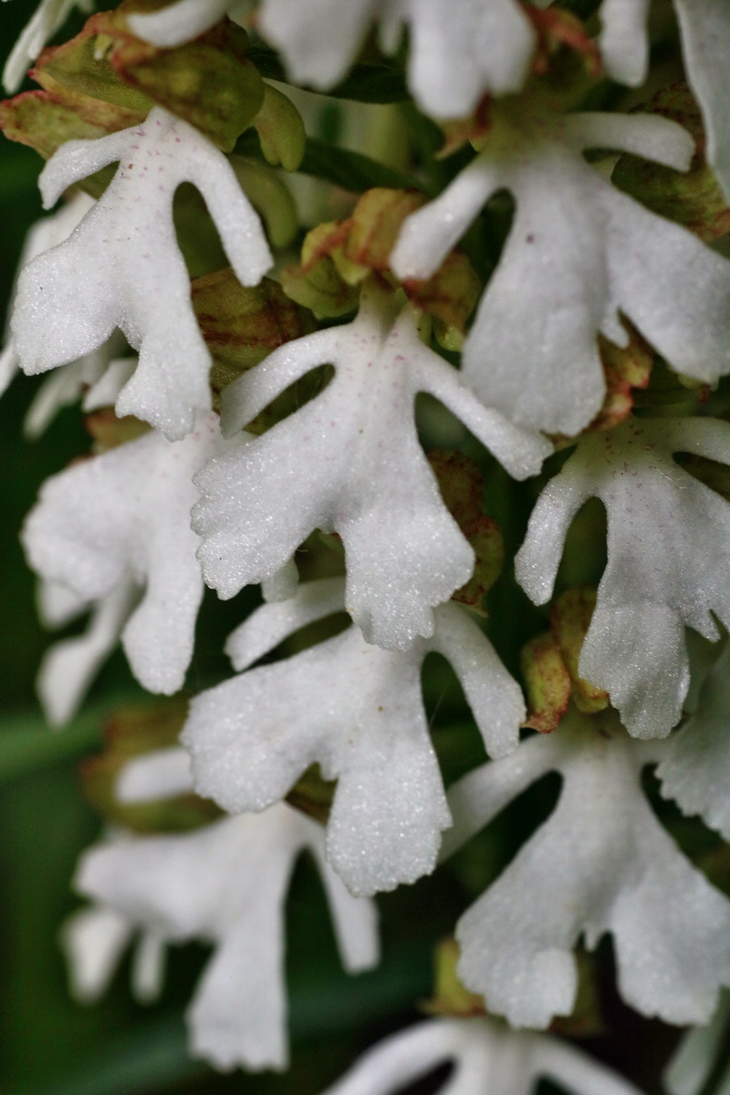 IMG-2016-05-16-00015179p_Bildgr��e �ndern