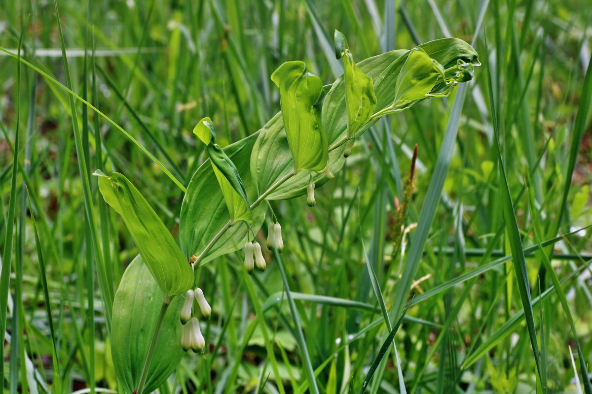 IMG-2016-05-16-00015182p_Bildgr��e �ndern