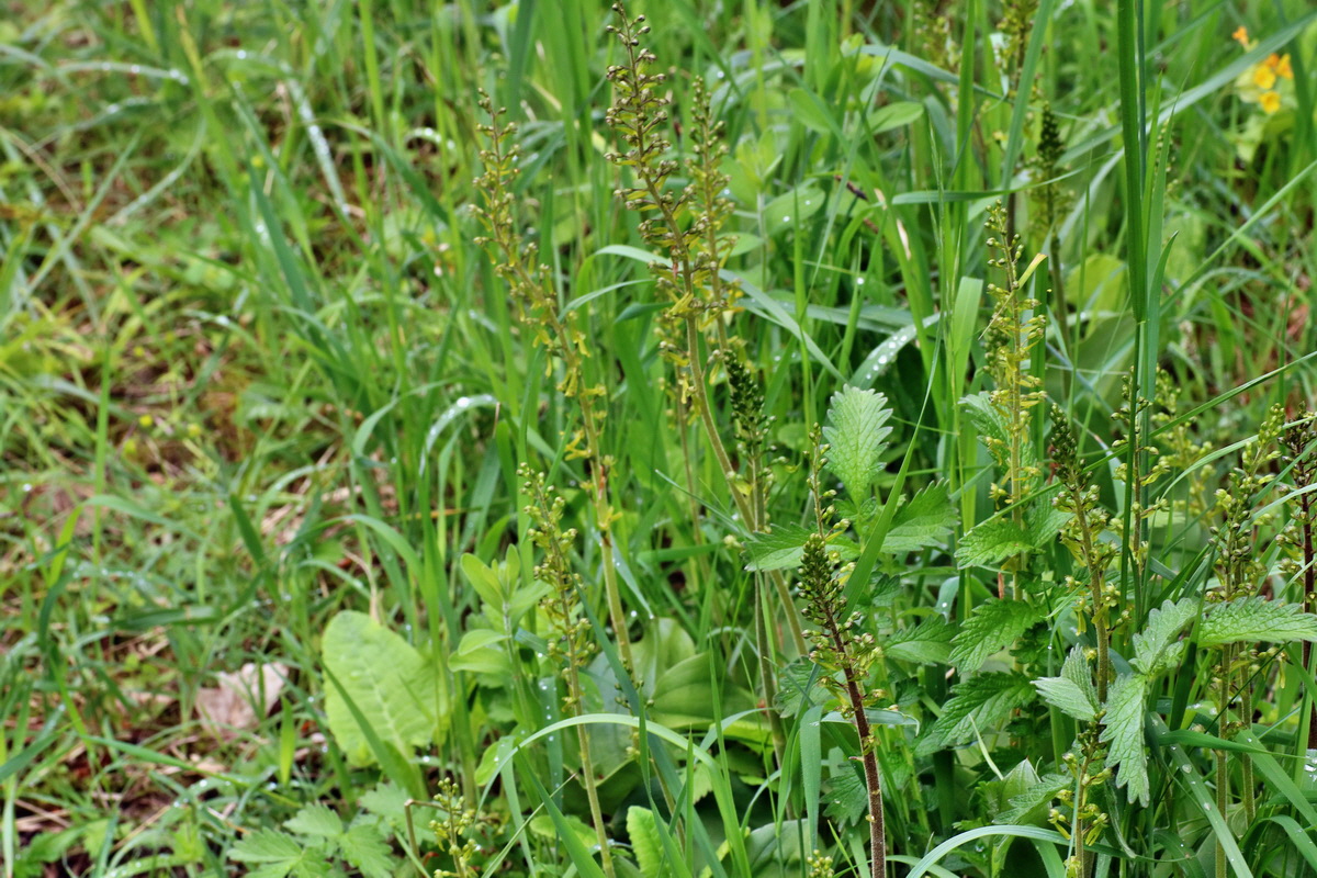 IMG-2016-05-16-00015185p_Bildgr��e �ndern