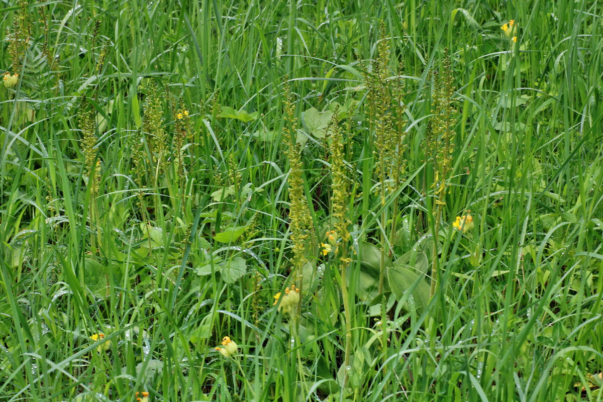 IMG-2016-05-16-00015186p_Bildgr��e �ndern