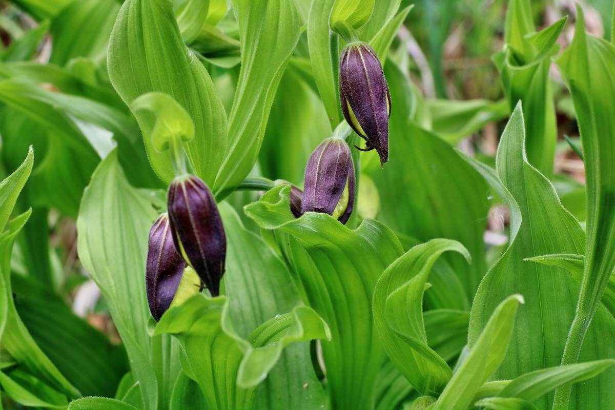 IMG-2016-05-16-00015194p_Bildgr��e �ndern