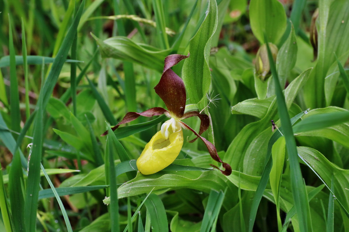 IMG-2016-05-16-00015201p_Bildgr��e �ndern