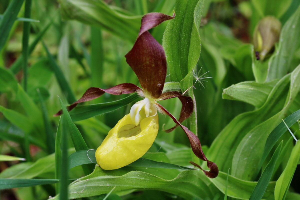 IMG-2016-05-16-00015204p_Bildgr��e �ndern