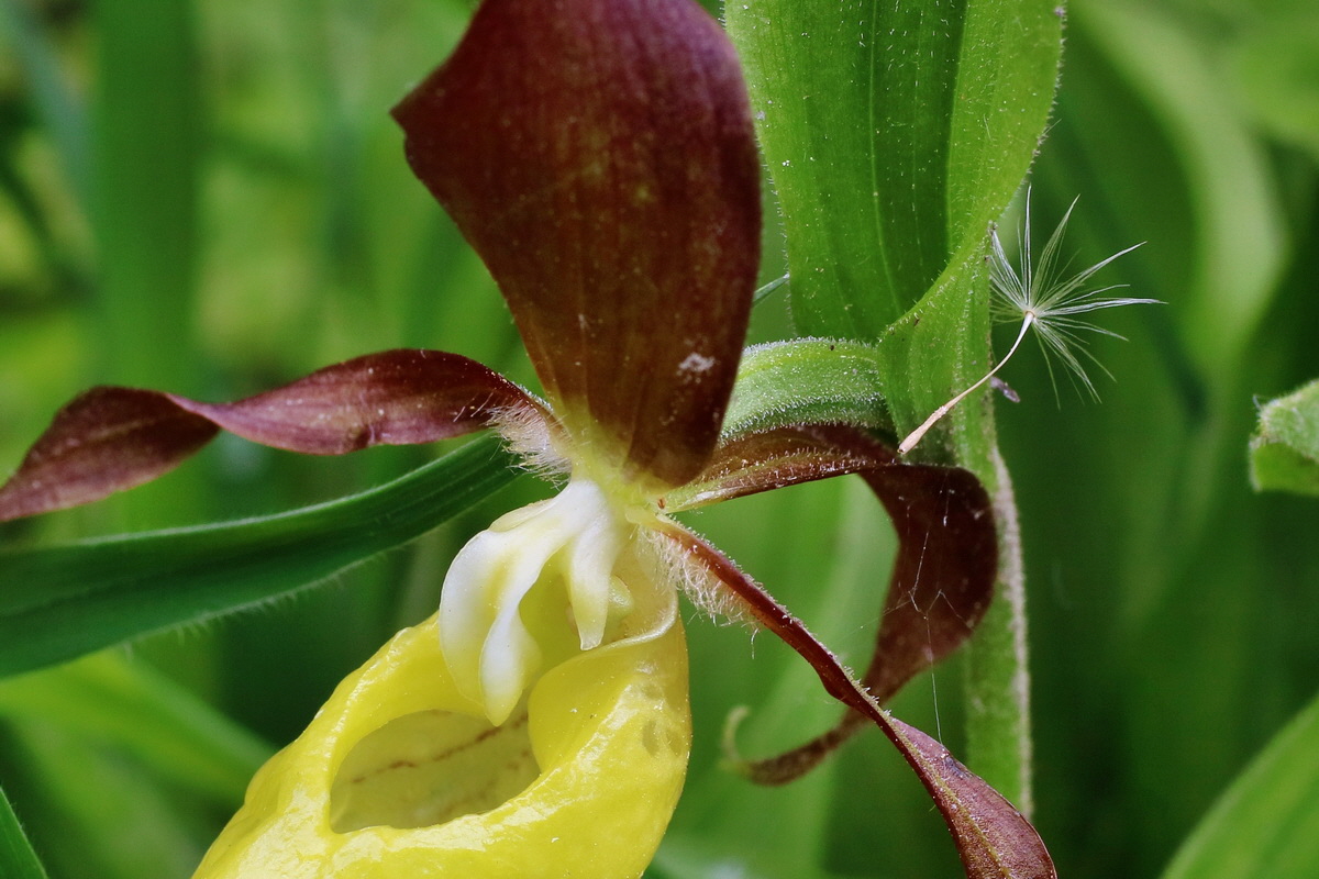 IMG-2016-05-16-00015204pa_Bildgr��e �ndern