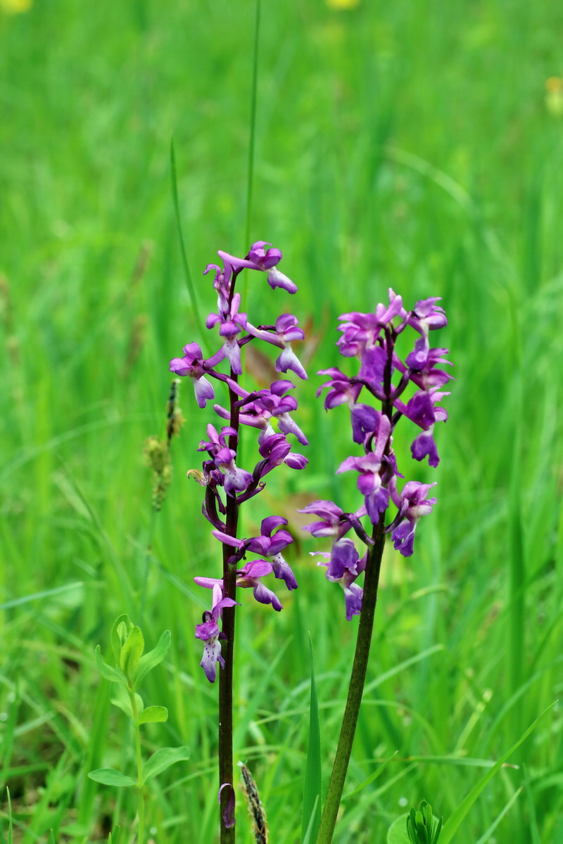 IMG-2016-05-16-00015209p_Bildgr��e �ndern