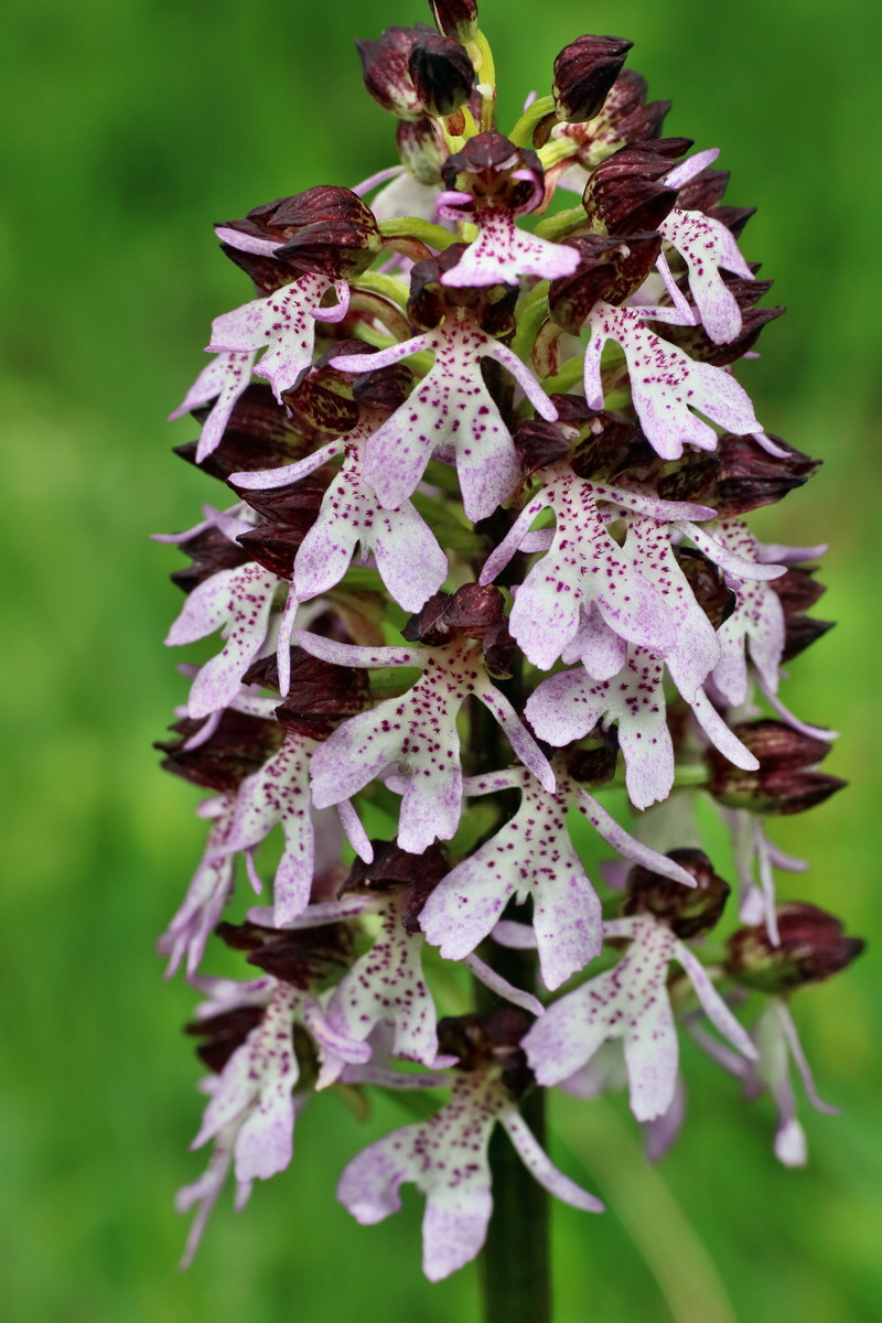 IMG-2016-05-16-00015210p_Bildgr��e �ndern