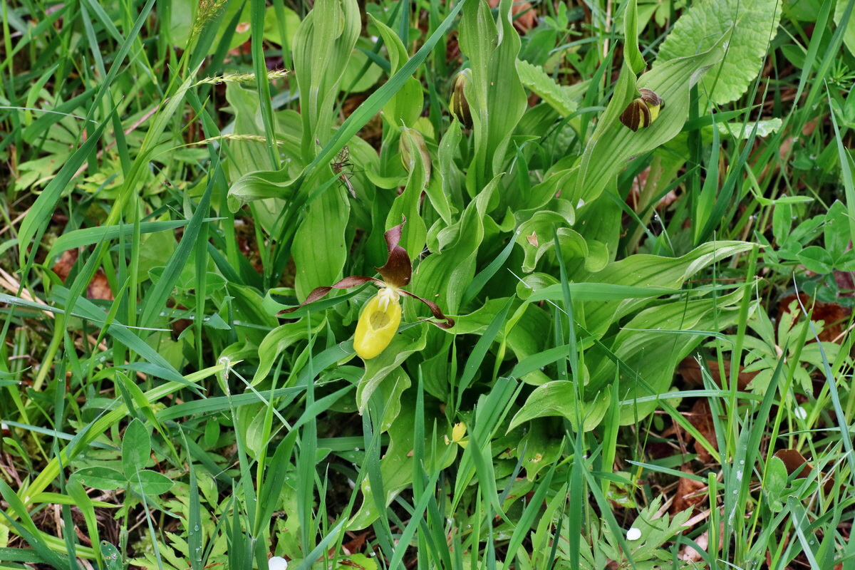 IMG-2016-05-16-00015216p_Bildgr��e �ndern