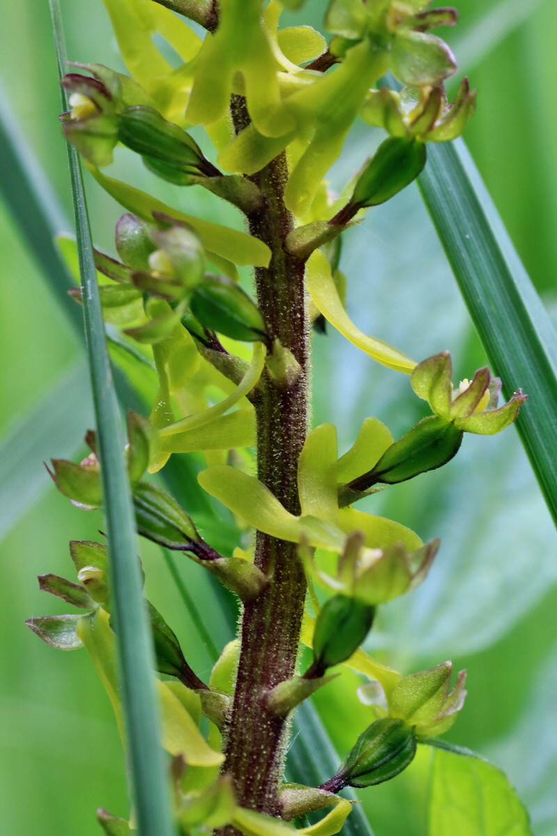 IMG-2016-05-16-00015220p_Bildgr��e �ndern