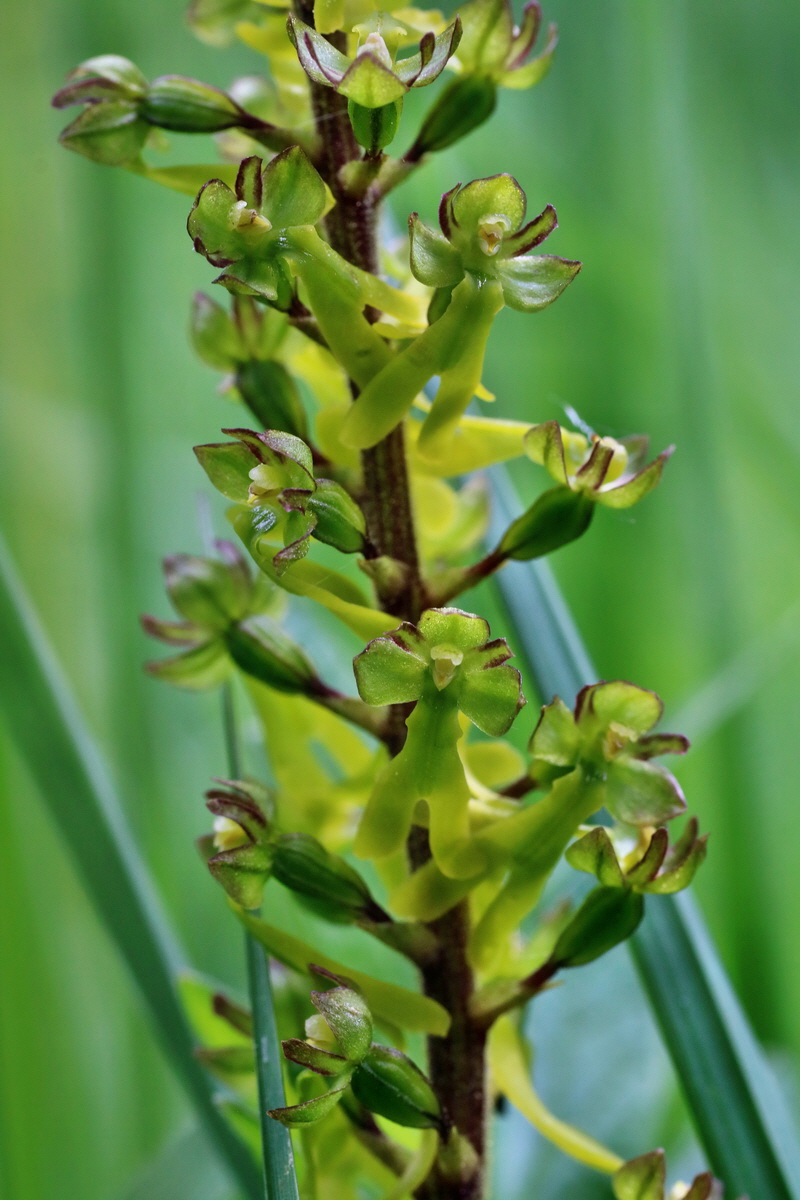 IMG-2016-05-16-00015223p_Bildgr��e �ndern