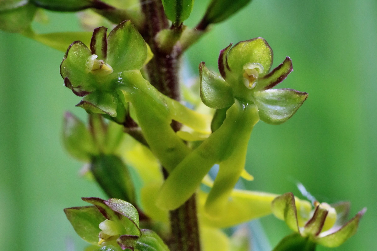 IMG-2016-05-16-00015223pa_Bildgr��e �ndern