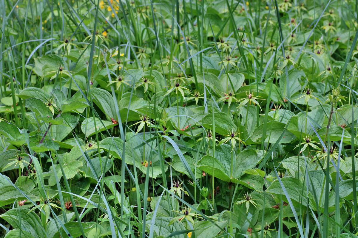 IMG-2016-05-16-00015230p_Bildgr��e �ndern