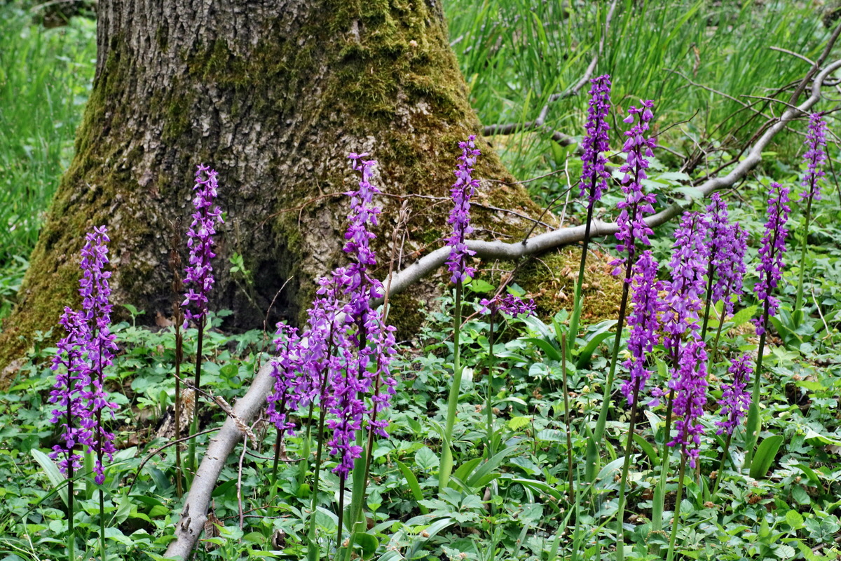 IMG-2016-05-16-00015233p_Bildgr��e �ndern