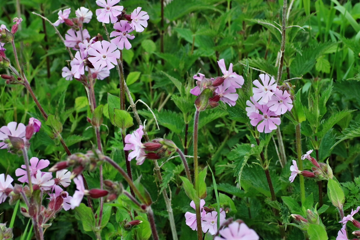 IMG-2016-05-18-00015242p_Bildgr��e �ndern