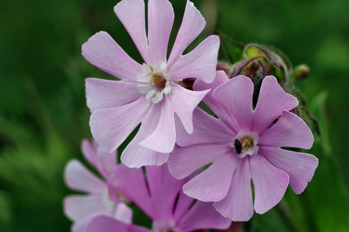 IMG-2016-05-18-00015245p_Bildgr��e �ndern