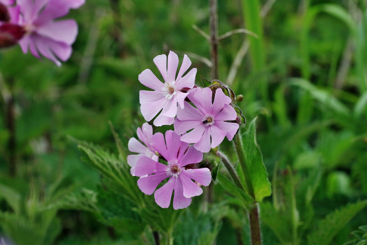 IMG-2016-05-18-00015248p_Bildgr��e �ndern