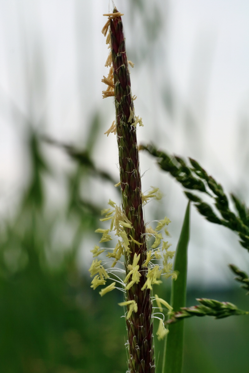 IMG-2016-05-18-00015265p_Bildgr��e �ndern