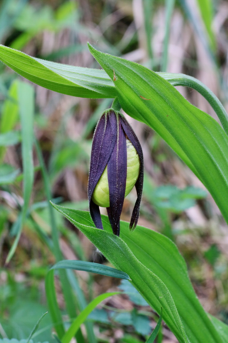 IMG-2016-05-18-00015273p_Bildgr��e �ndern