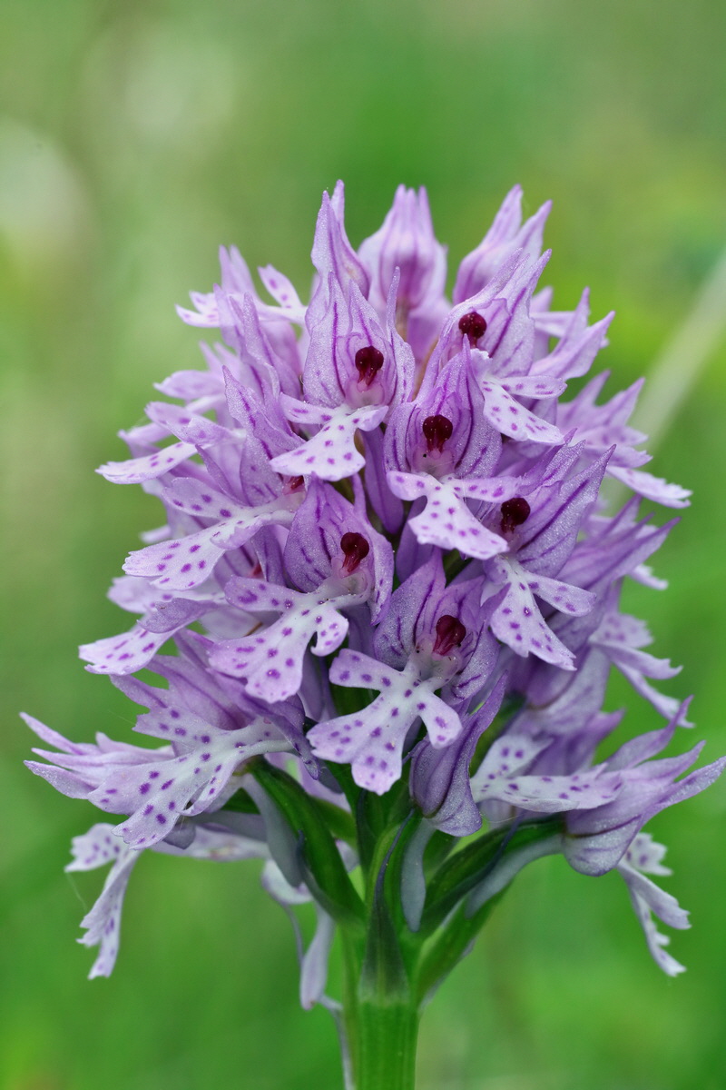 IMG-2016-05-18-00015278p_Bildgr��e �ndern