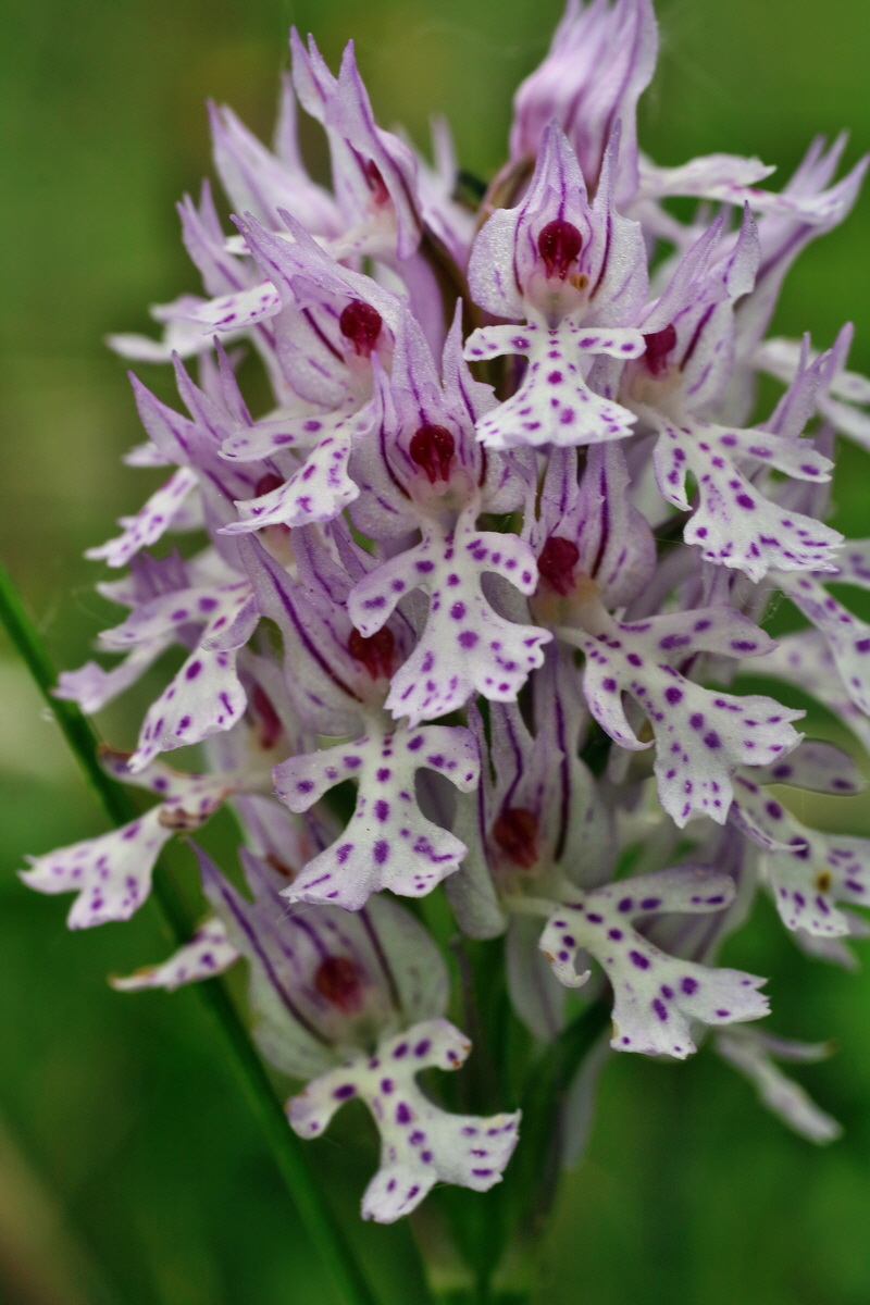 IMG-2016-05-18-00015282p_Bildgr��e �ndern