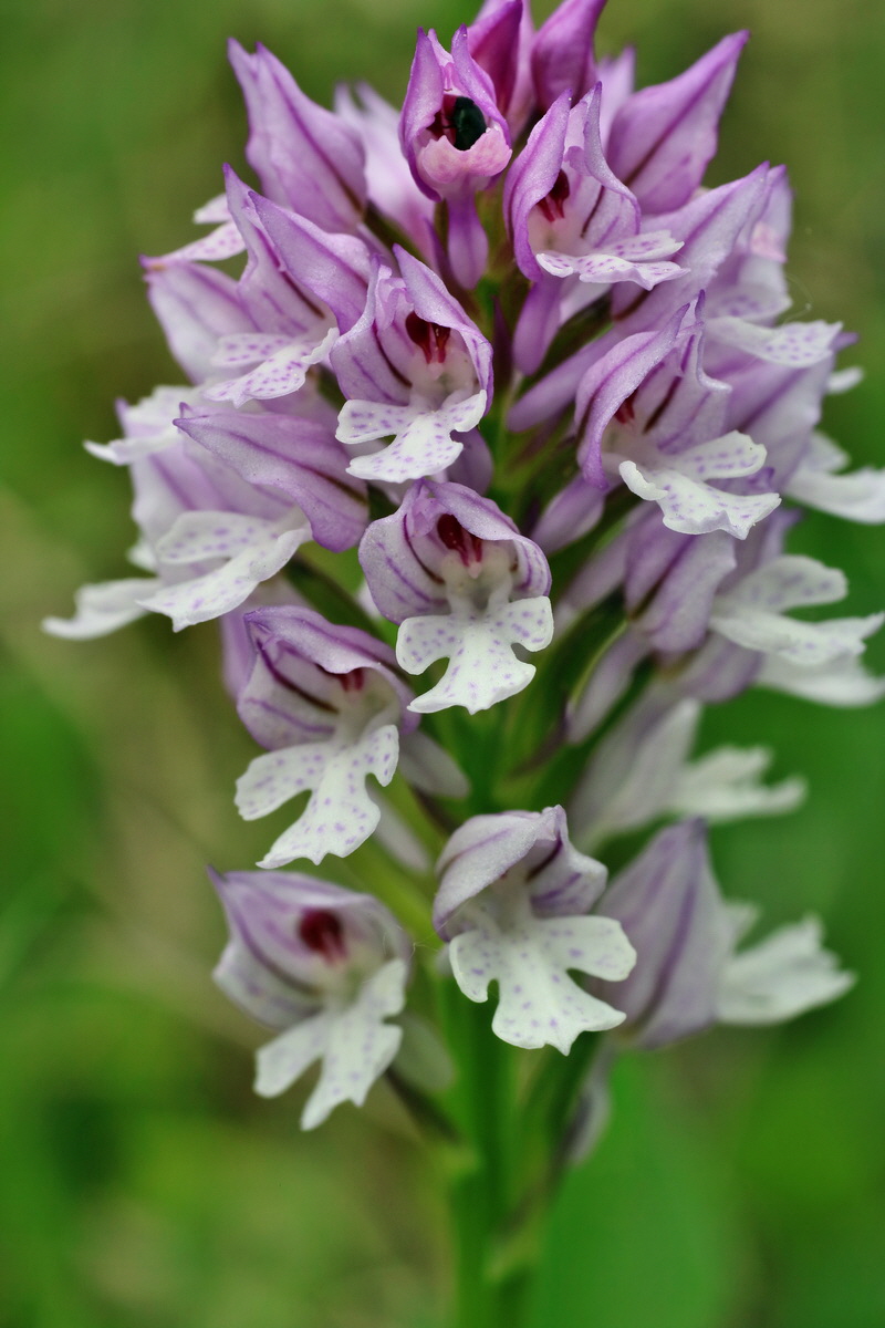 IMG-2016-05-18-00015290p_Bildgr��e �ndern