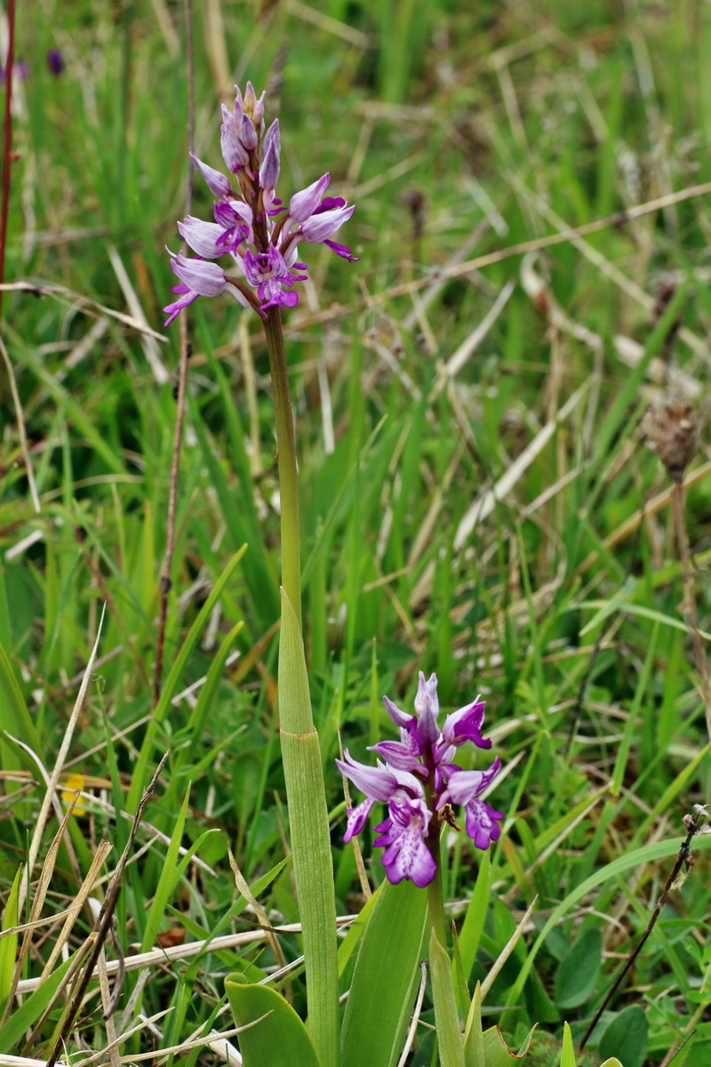 IMG-2016-05-18-00015304p_Bildgr��e �ndern