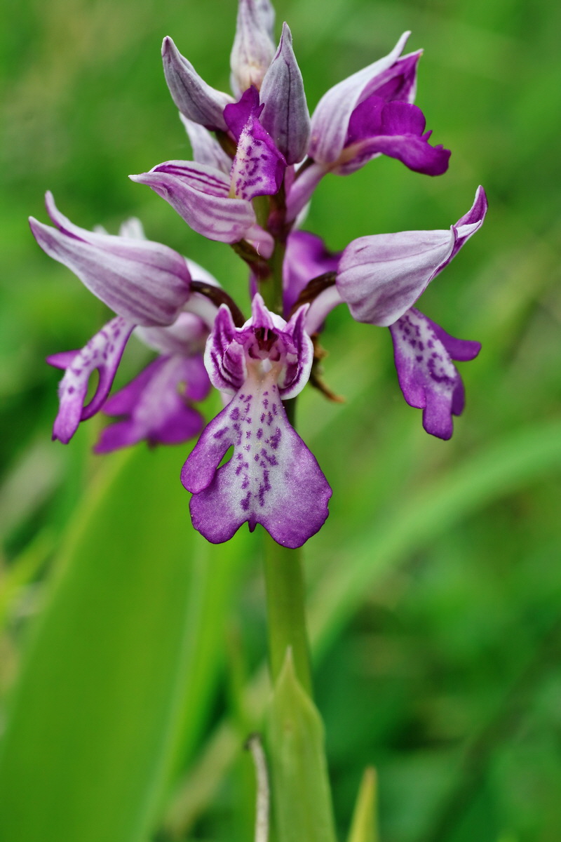 IMG-2016-05-18-00015309p_Bildgr��e �ndern