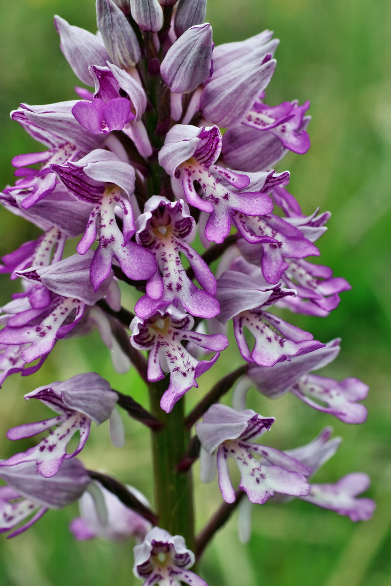 IMG-2016-05-18-00015321p_Bildgr��e �ndern