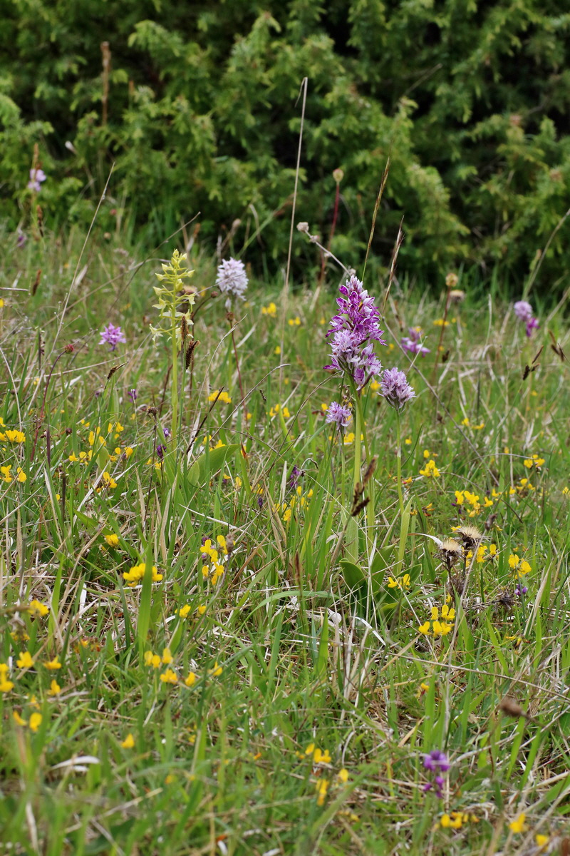 IMG-2016-05-18-00015326p_Bildgr��e �ndern