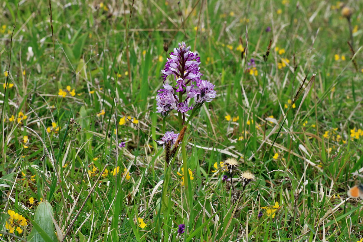 IMG-2016-05-18-00015337p_Bildgr��e �ndern