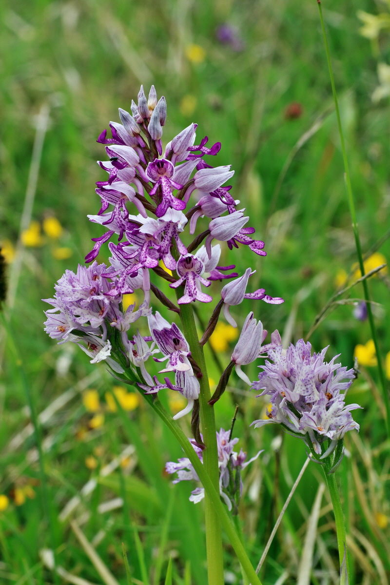 IMG-2016-05-18-00015340p_Bildgr��e �ndern