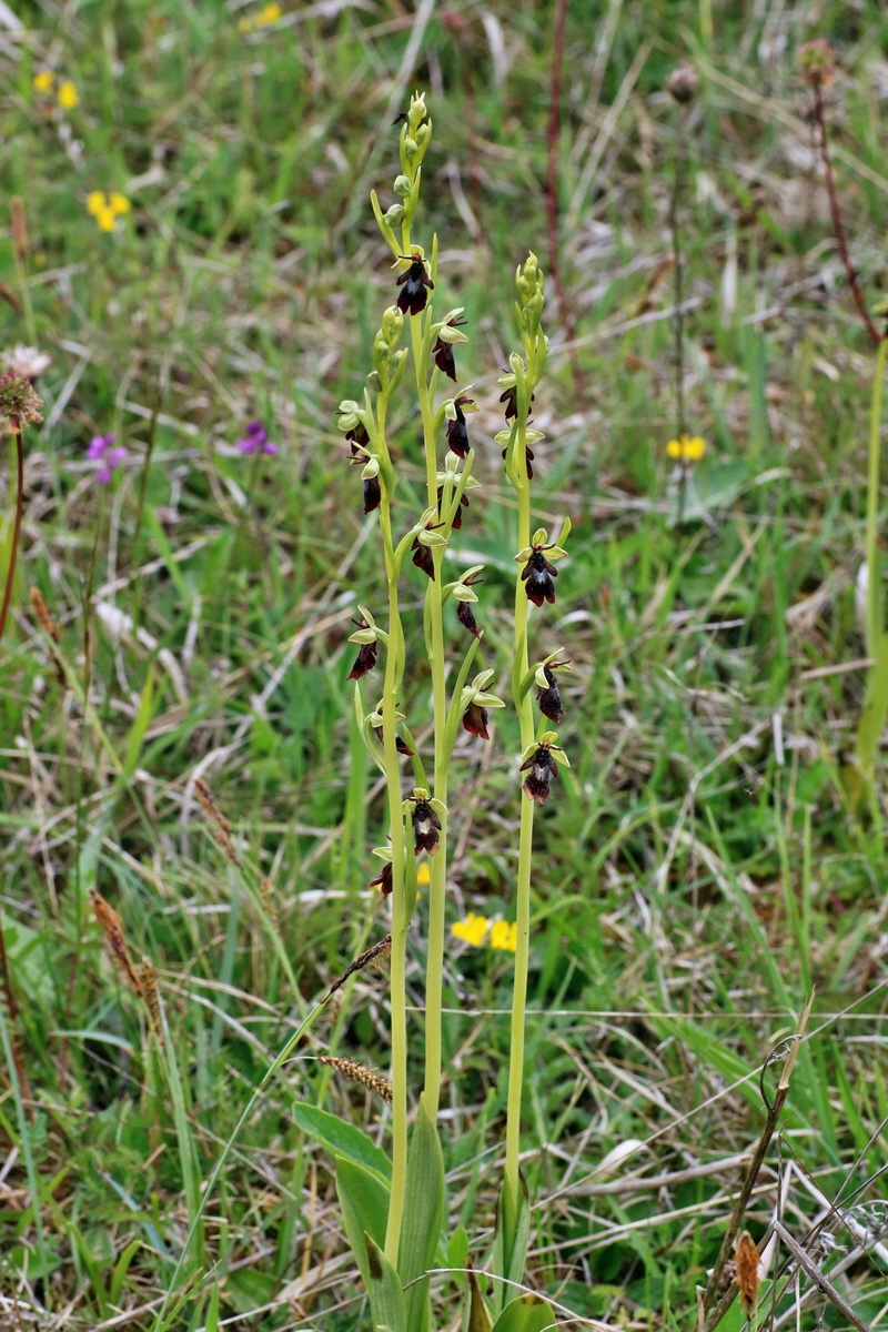 IMG-2016-05-18-00015347p_Bildgr��e �ndern