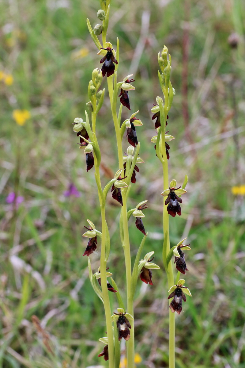 IMG-2016-05-18-00015352p_Bildgr��e �ndern