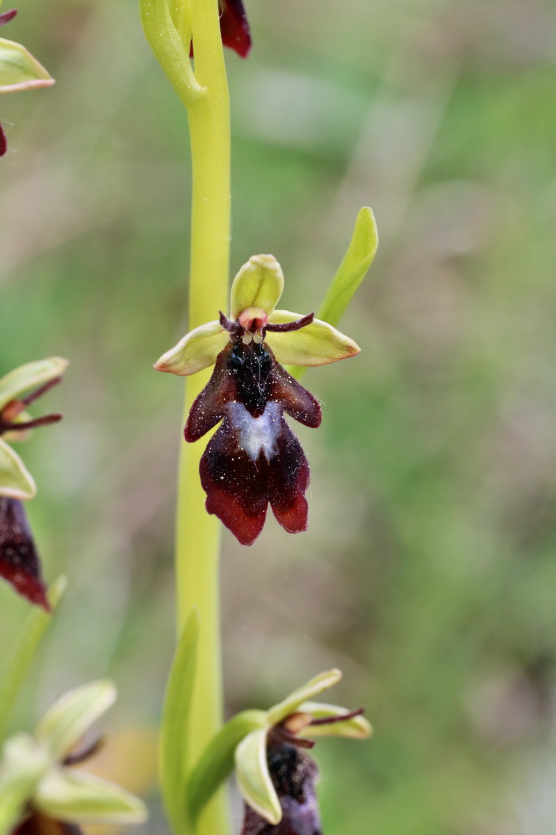 IMG-2016-05-18-00015355p_Bildgr��e �ndern