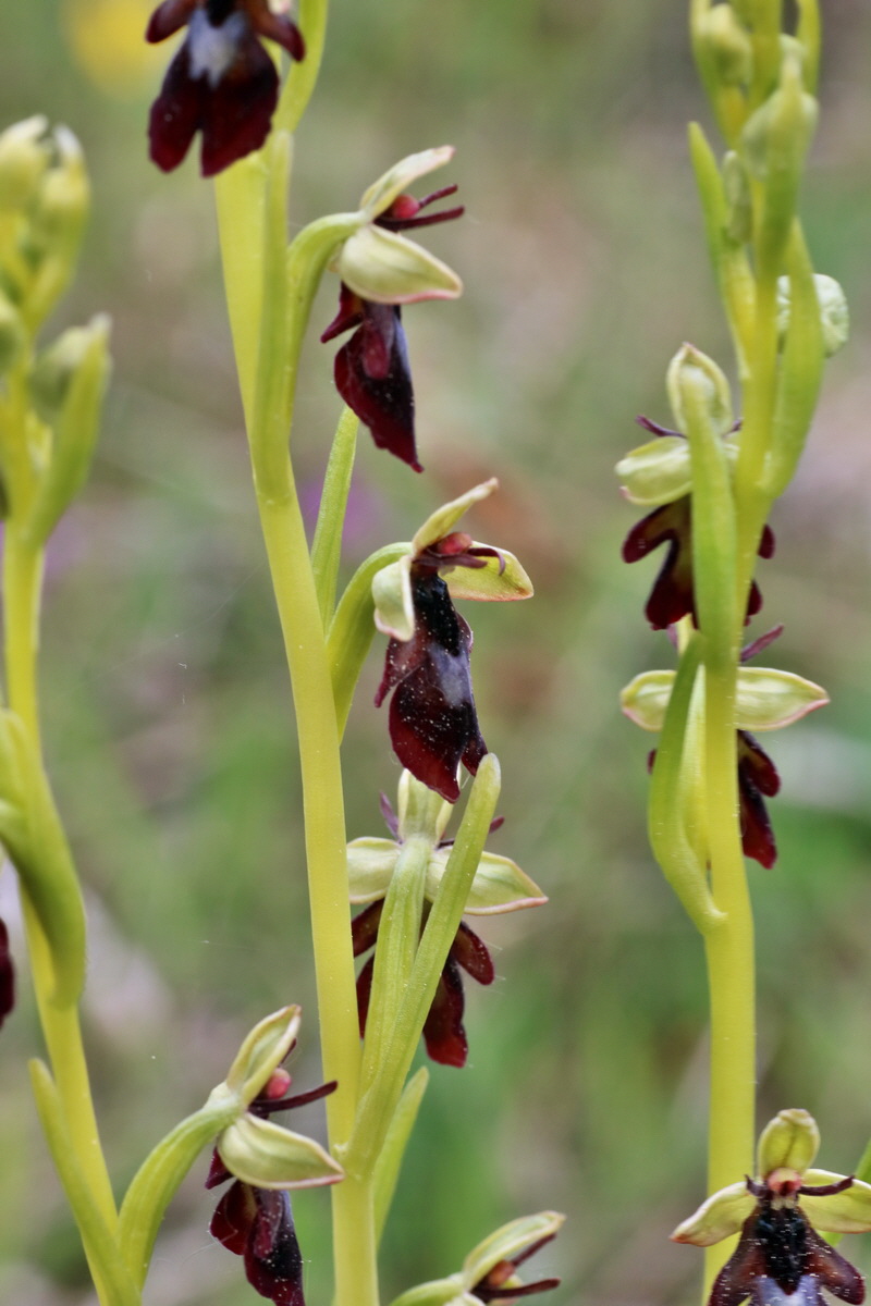 IMG-2016-05-18-00015357p_Bildgr��e �ndern