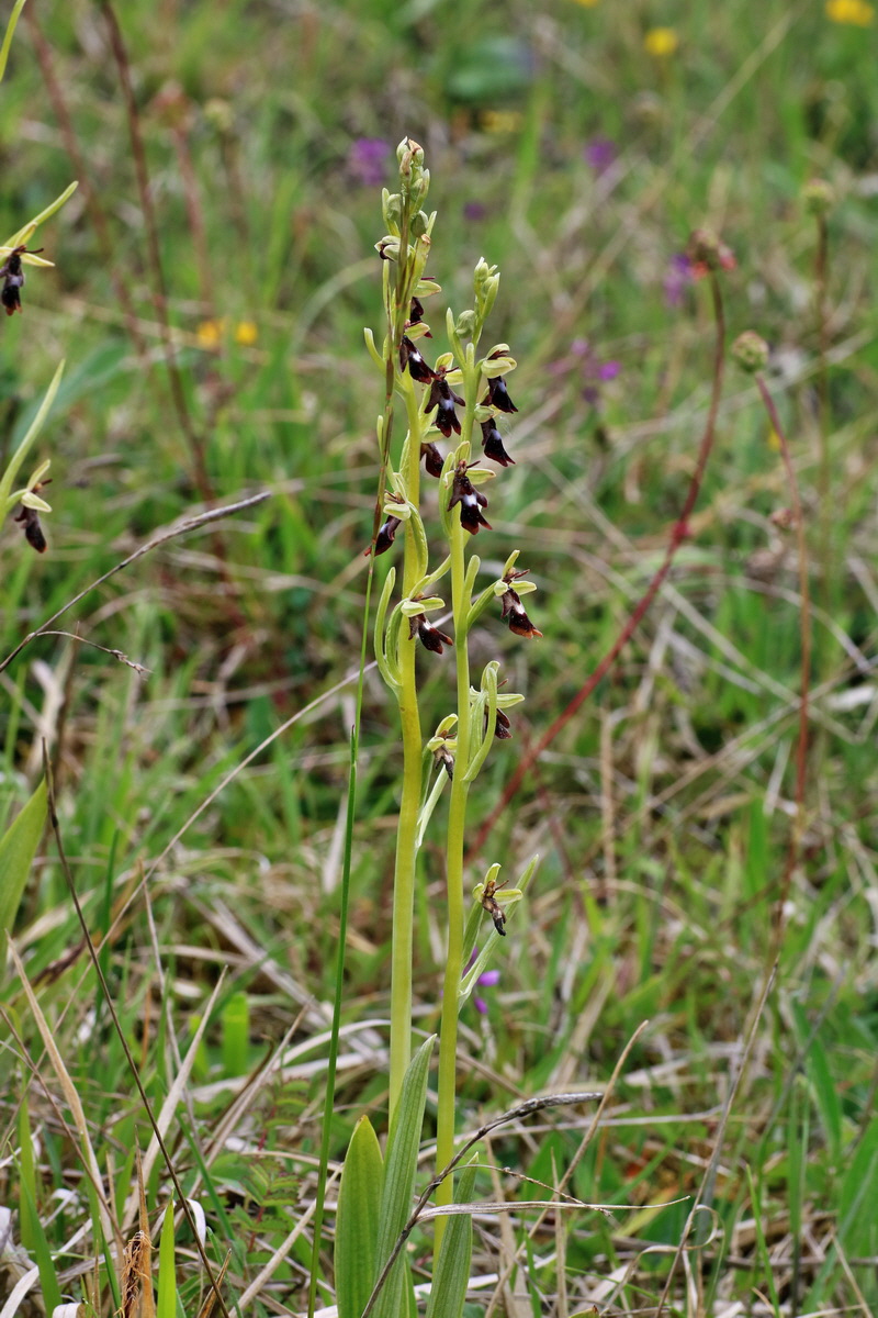 IMG-2016-05-18-00015360p_Bildgr��e �ndern