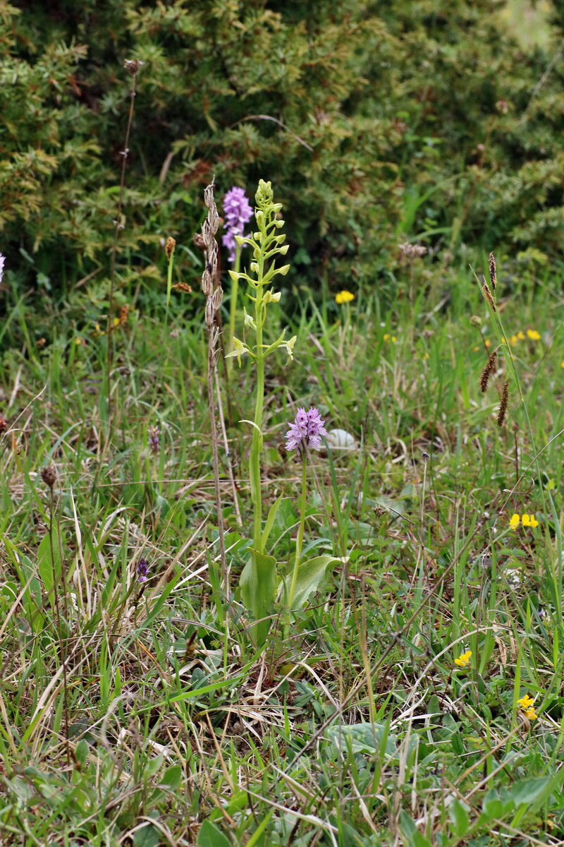 IMG-2016-05-18-00015364p_Bildgr��e �ndern