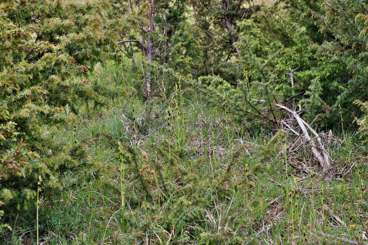 IMG-2016-05-18-00015372p_Bildgr��e �ndern